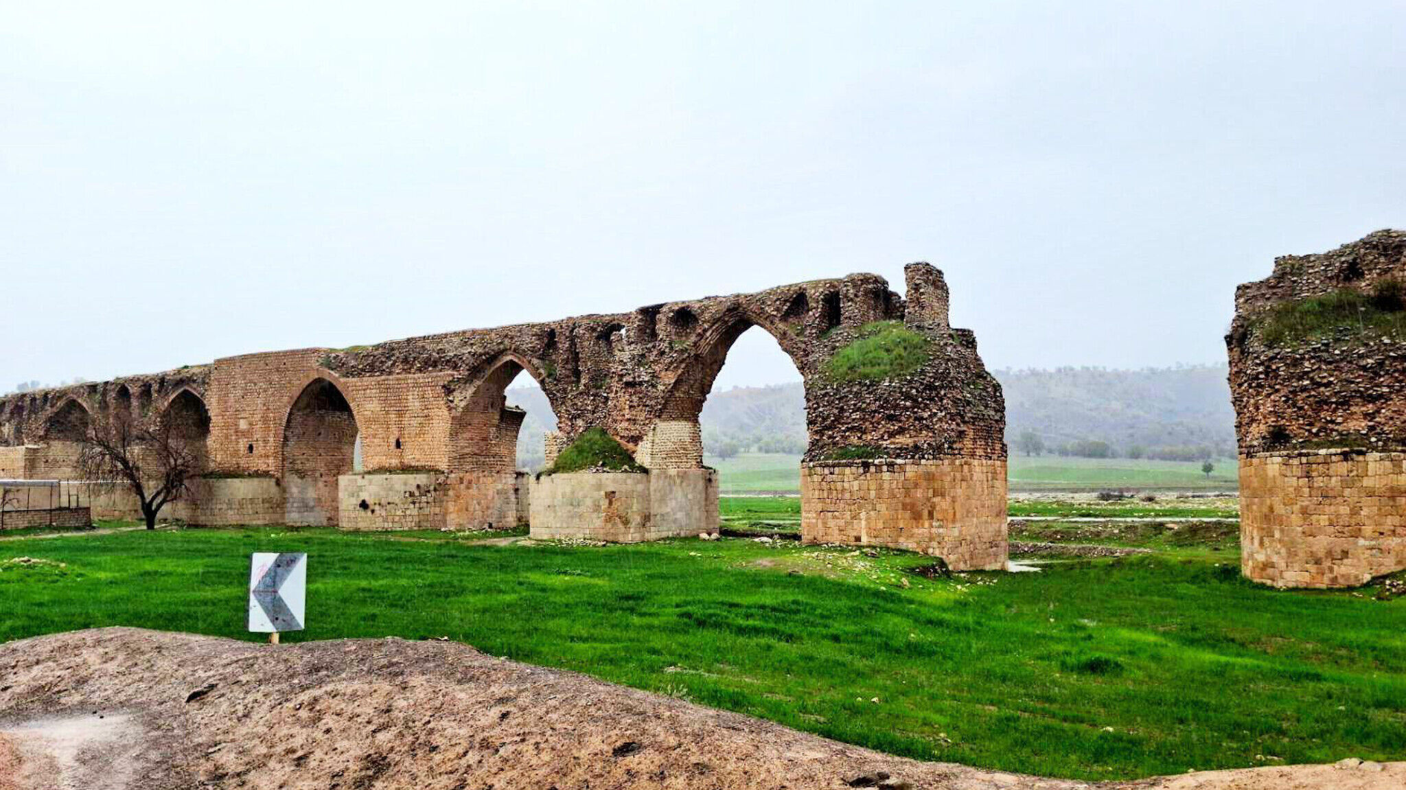 نگین سبز زاگرس 