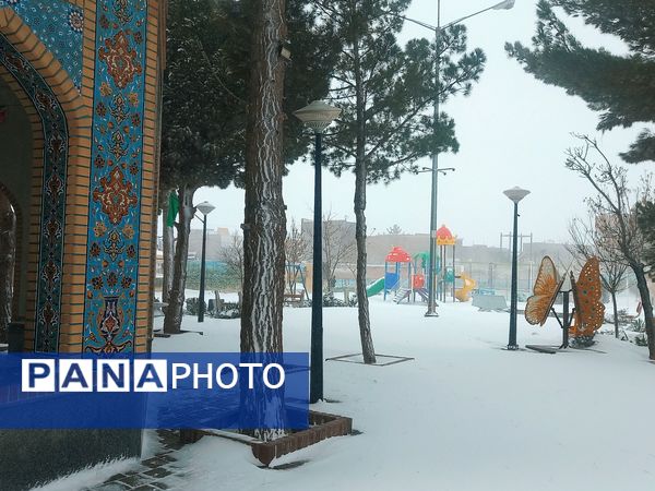 برف و بارانی همراه با شادی در شهرستان زاوه