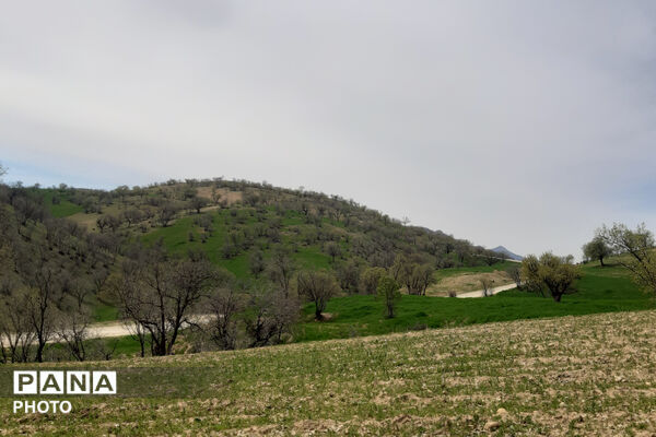 طبیعت دِراز‌رود؛ زیباترین تابلوی سبز لردگان