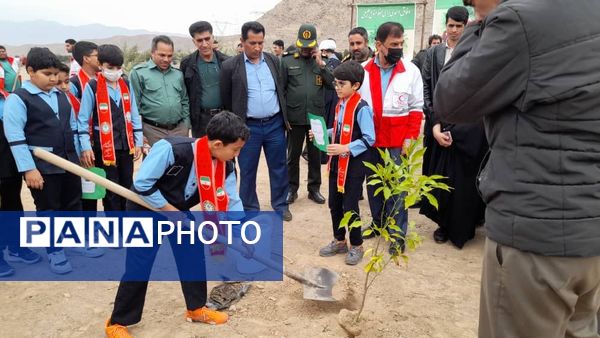 مراسم نمادین کاشت نهال در حاجی‌آباد 