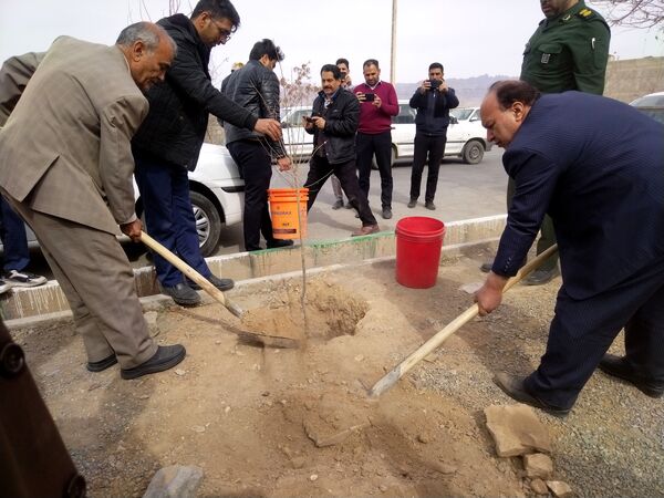 مراسم درخت کاری در مدرسه پویندگان فرهنگ شهرستان خلیل آباد 
