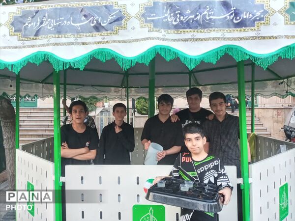 ایستگاه صلواتی دهه اول ماه صفر در مقابل فاطمیه تهران به همت نوجوانان آرمانی برپا شد