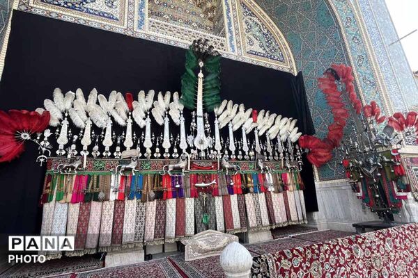 مشهد در سوگ امام رضا(ع)؛ حرم رضوی میزبان دلهای داغدار