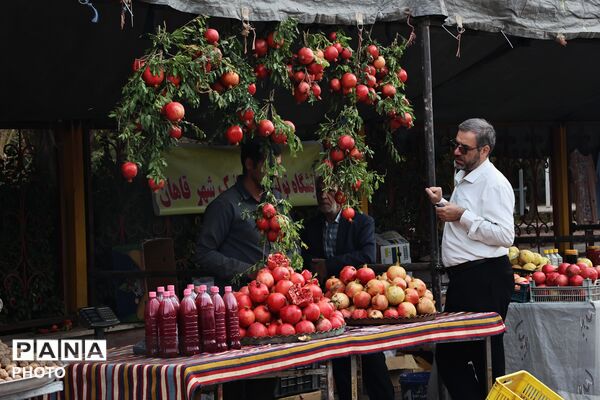 افتتاحیه بازارچه انار و کاپشن در شهر کهک