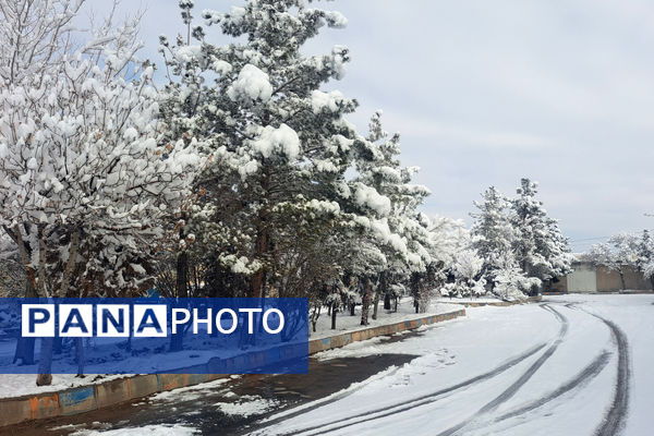 بارش برف شهرستان اقلید را سفید پوش کرد