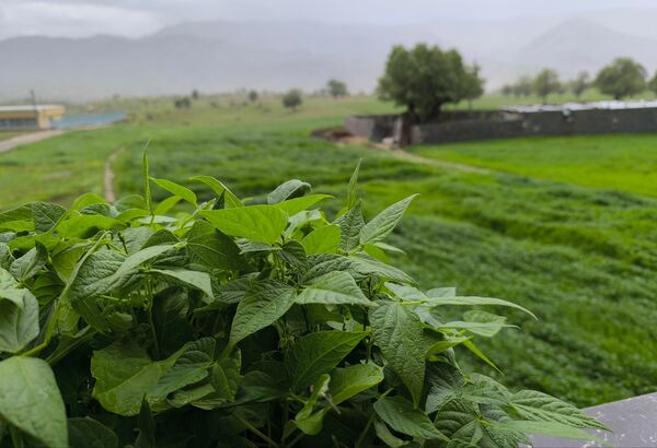 مسن و سرتنگ روستاهایی در دل طبیعت خانمیرزا 
