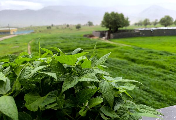 مسن و سرتنگ روستاهایی در دل طبیعت خانمیرزا 