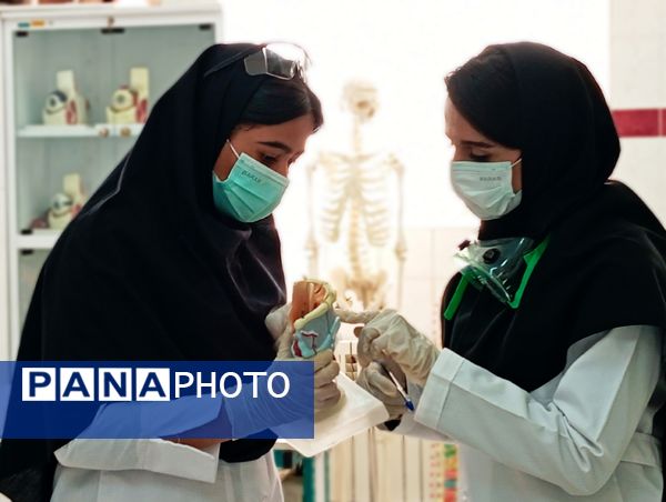 ۳۰ تیم دانش‌آموزی در مرحله استانی بیست و سومین دوره از مسابقات آزمایشگاهی به رقابت پرداختند