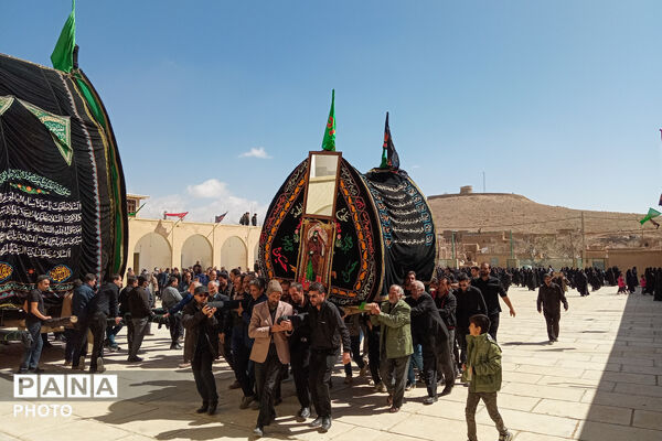 نخل‌برداری بنادکوک‌دیزه در سوگ امام علی (ع)