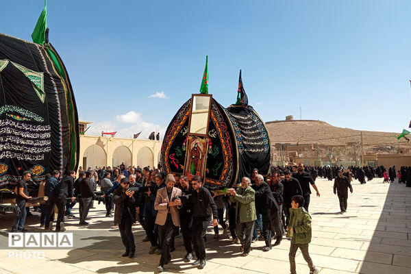 نخل‌برداری بنادکوک‌دیزه در سوگ امام علی (ع)
