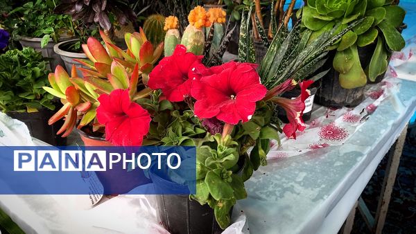 بازدید استاندار مازندران از غرفه نوروزی قائمشهر