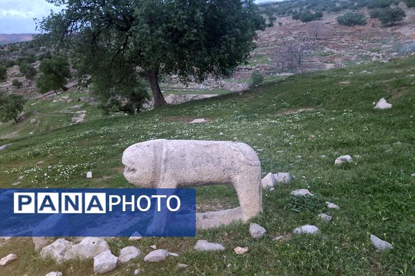 قبرستانی تاریخی و سرسبز به قدمت چند صد ساله در فارس