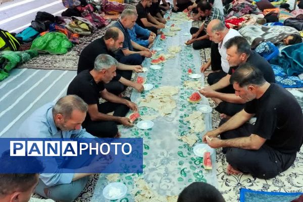 ازدحام پرشور زائران از شهرستان بیضا در کربلا معلی