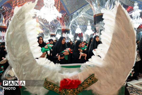 آیین معنوی «شیرخوارگان حسینی» در حرم مطهر رضوی