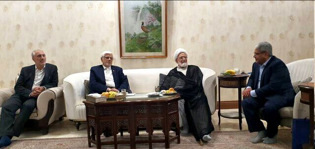 عارف با کروبی دیدار کرد
