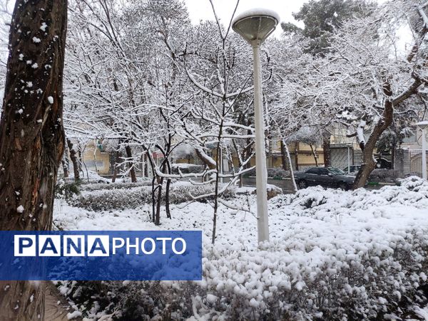 بارش برف و سفید پوش شدن شهر زیبای مشهد