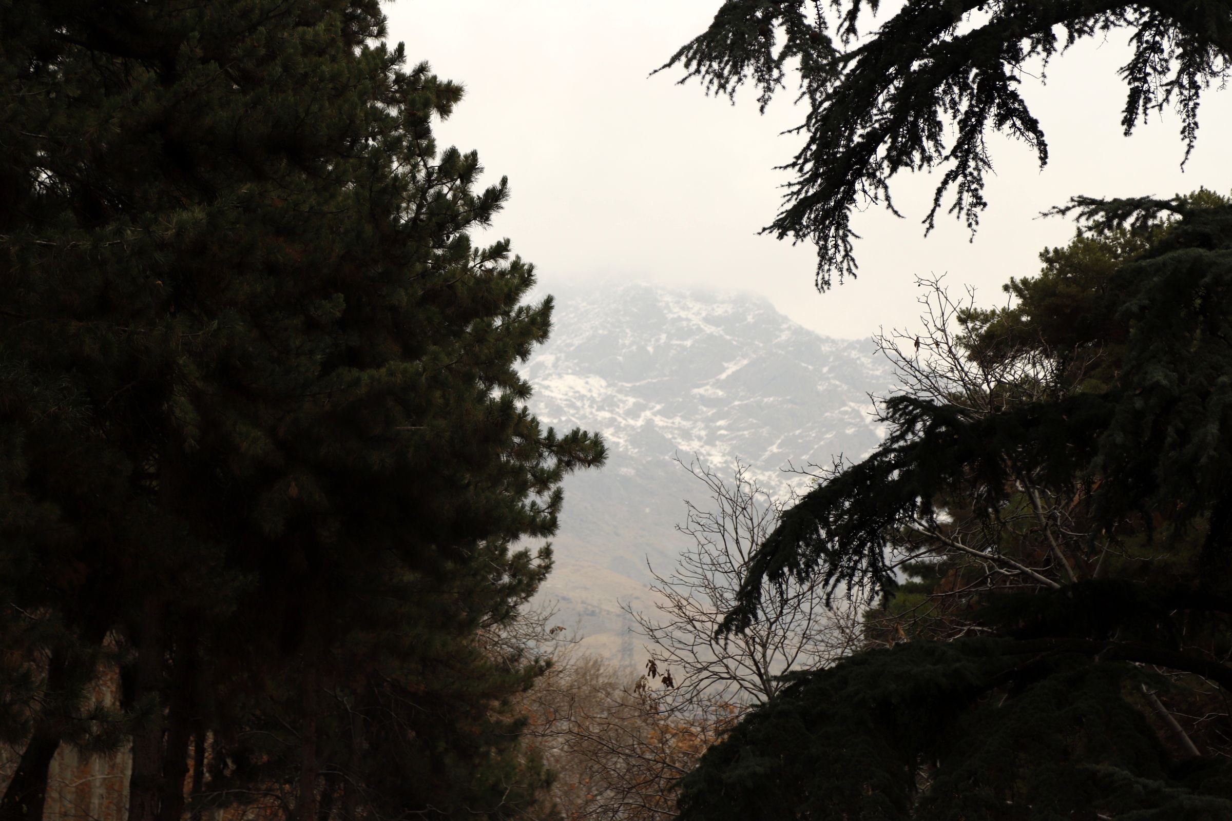 خلوت سرای پاییزی سعدآباد