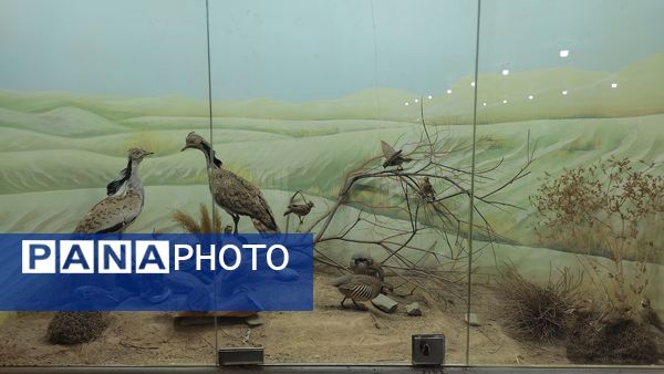 بازدید علمی دانش‌آموزان دبستان شاهد حاج تقی آقا‌بزرگ از پژوهش‌سرای علامه طباطبایی ناحیه یک مشهد