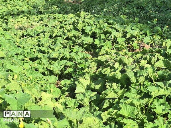 وقتی طبیعت، حرف می‌زند