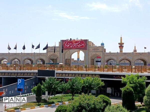 عاشورا؛ روایت دلدادگی در قاب اشک و ارادت 