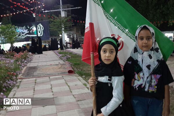 از کربلا تا ایران؛ عزاداران حسینی با پرچم ایران، پیام وحدت و استقامت را فریاد زدند