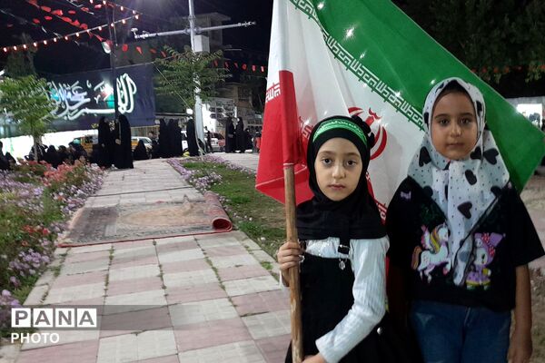 از کربلا تا ایران؛ عزاداران حسینی با پرچم ایران، پیام وحدت و استقامت را فریاد زدند