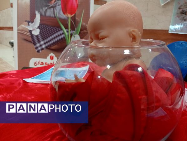 نمایشگاه اقتصاد مقاومتی