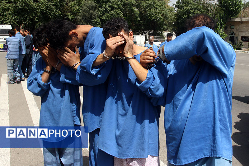 دستگیری ۲۶۴ سارق خشن در اجرای طرح ضربتی پلیس آگاهی