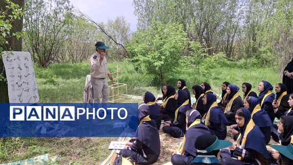 پیش اردوی ملی پیشتازان ویژه دختران در استان اردبیل