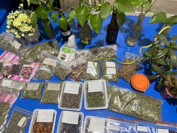 انتخابات همیار مشاور به‌مناسبت هفته بهداشت‌روان در آموزشگاه تلاش شهرستان بجنورد