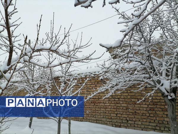 بارش اولین برف در بهمن ماه در شهر بار 