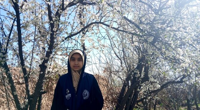 شکوفه دادن درختان روستای فیروزه