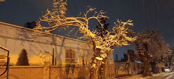 نزول برکت و نعمت در نخستین روزهای زمستانی در نیشابور