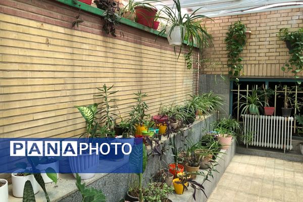 جلسه بررسی چالش‌ها و مسائل دانش‌آموزان با نیازهای ویژه 