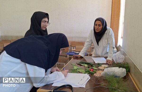 نمایش توانمندی‌های علمی دانش‌آموزان ناحیه سه شیراز در جشنواره خوارزمی