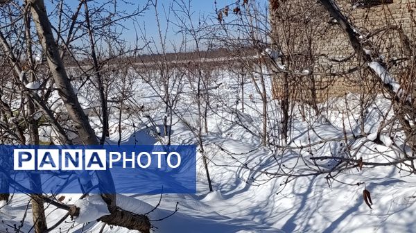 منظره زیبای برف پاییزی در باغات شهرستان نیشابور 