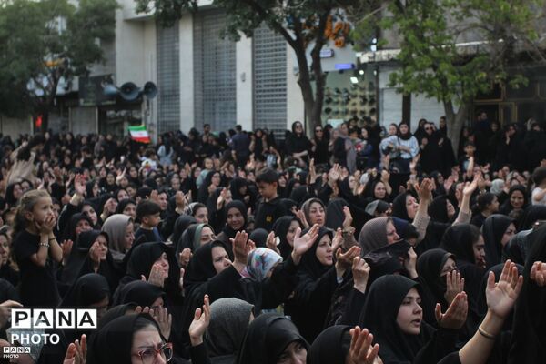 زنجان در سوگ دردانه کربلا؛ آیین عزاداری حضرت رقیه (س)