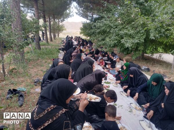 حضور دوستداران اهل بیت در رحلت پیامبر اکرم و شهادت امام حسن مجتبی