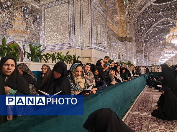 کبوتر حرم مشهد مقدس