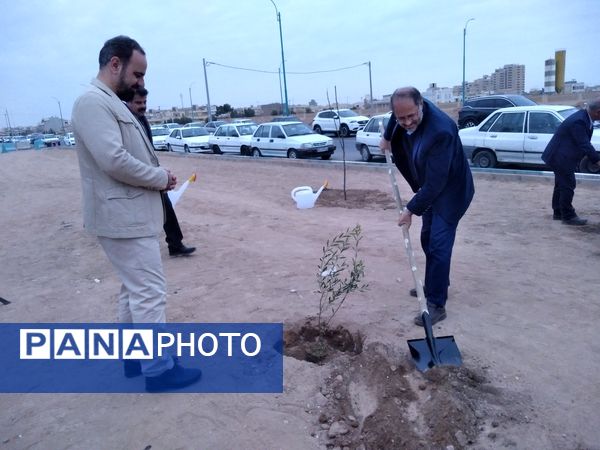 پویش مردمی درخت یادگار در یزد 