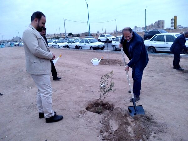 پویش مردمی درخت یادگار در یزد 