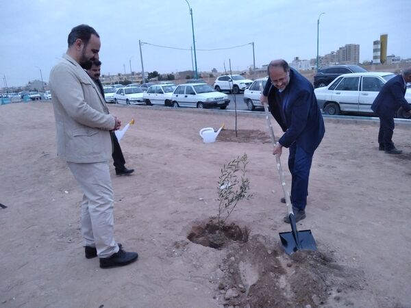 پویش مردمی درخت یادگار در یزد 