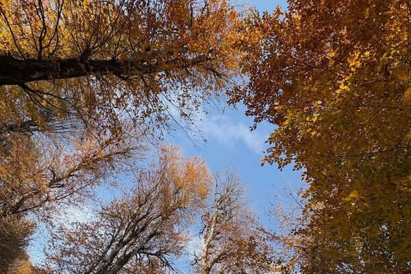 هرچه می‌گذرد، بیشتر به شبی سردتر و طولانی‌تر نزدیک می‌شویم