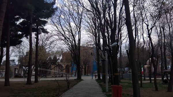گل‌ها و درختان در شکوفایی