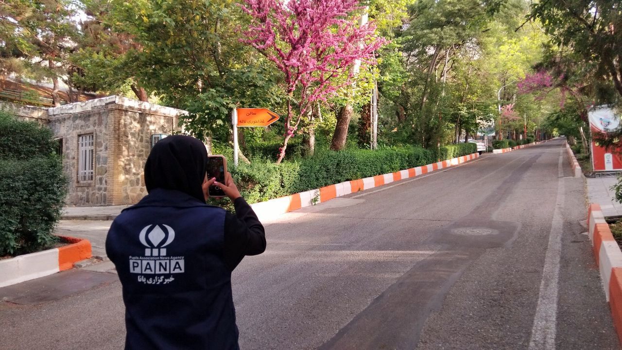 پانا؛ خانهٔ رویاهای جسورانه و قلم‌های بی‌قرار