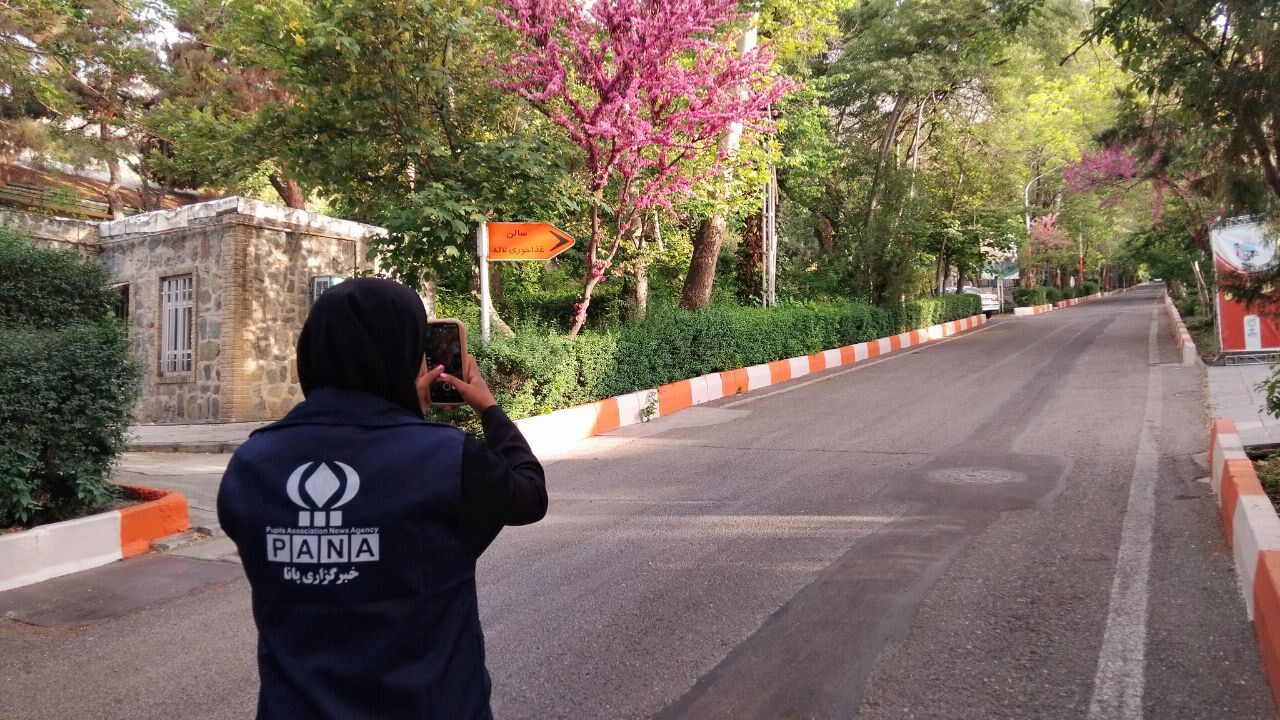 پانا؛ خانهٔ رویاهای جسورانه و قلم‌های بی‌قرار