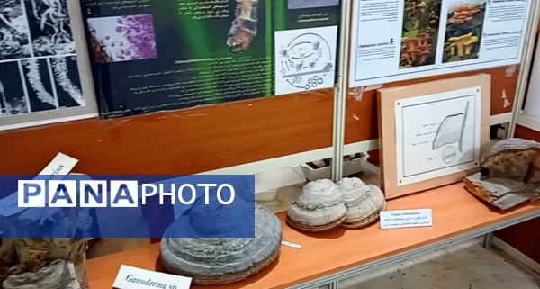 بازدید  خبرنگاران مسئله محور از موسسه گیاه پزشکی تهران