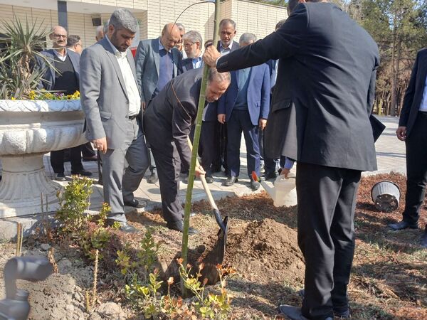 کاشت نهال یادمان صحن دانش تا کرسی قانون‌گذاری 
