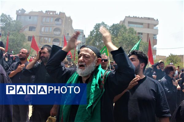 جلوه‌های باشکوه عزاداری روز عاشورا در قم