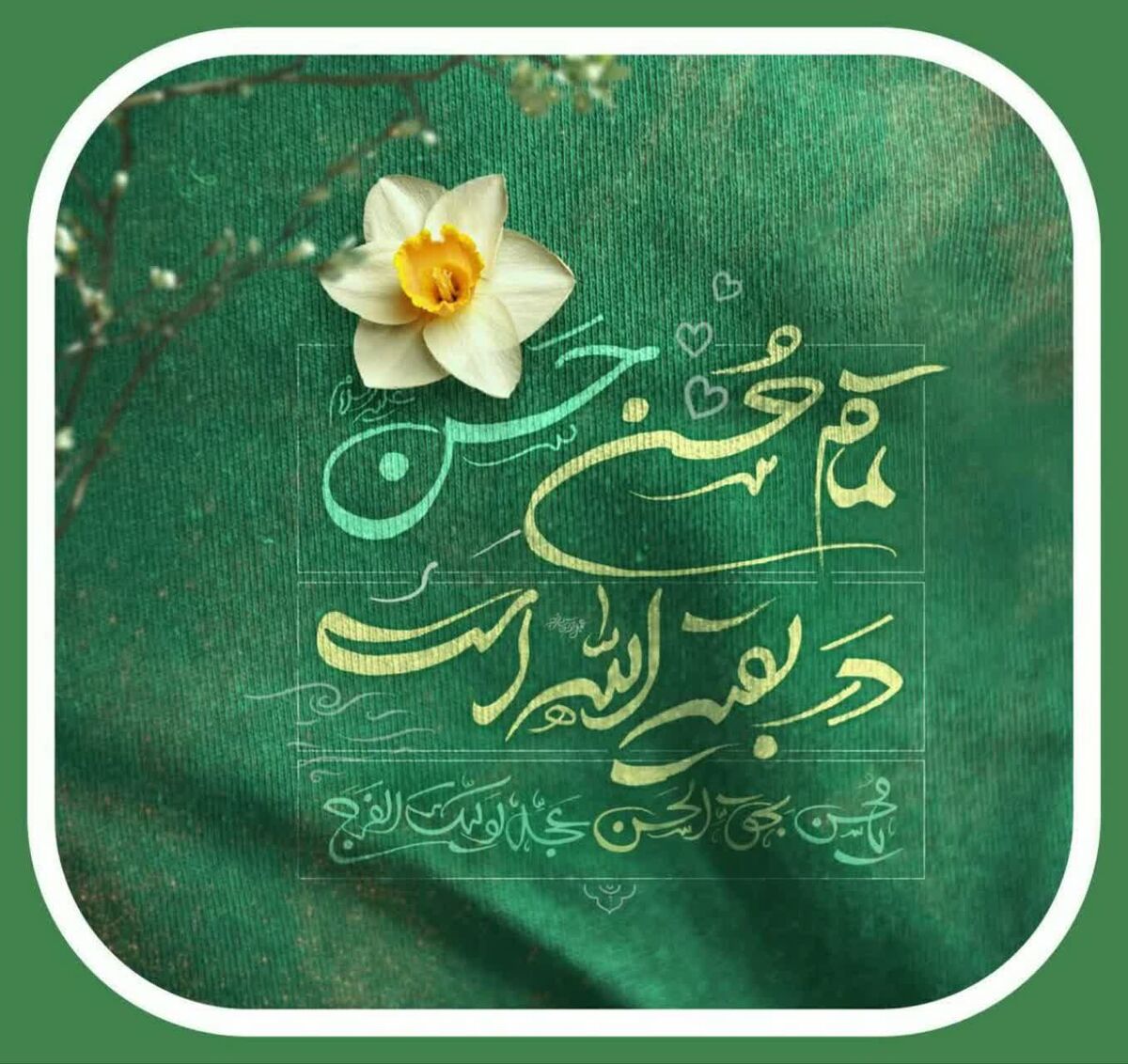 میلاد امام حسن مجتبی (س)در میان غم و امید